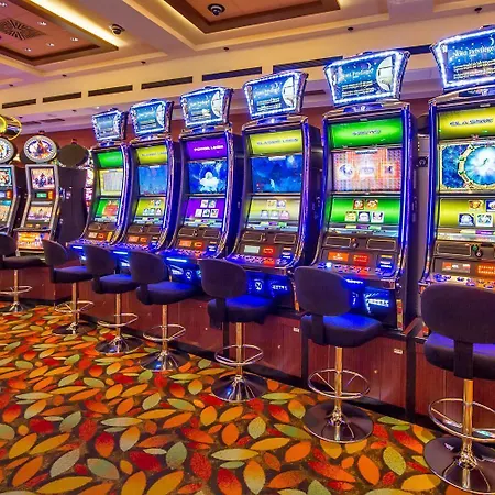 Otel Park, & Entertainment